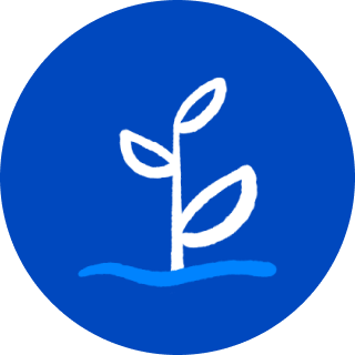 Strategy
Development